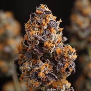Grape Cookies